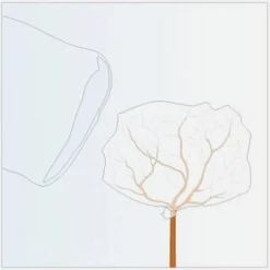 Rozen Winterhoezen - Groen - Set Van 2 Stuks -Aanbiedingen Intieme Eden Winkel winterhoes rozen groen 1484054071 2 600