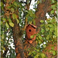 ESSCHERT DESIGN Nestbuidel Winterkoning - Kokos 8 ESSCHERT DESIGN Nestbuidel Winterkoning - Kokos -Aanbiedingen Intieme Eden Winkel winterkoning nestbuidel 1672150733 1 600