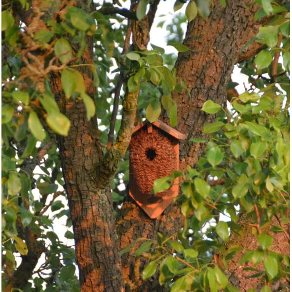 ESSCHERT DESIGN Nestbuidel Winterkoning - Kokos 4 ESSCHERT DESIGN Nestbuidel Winterkoning - Kokos - Afbeelding 2