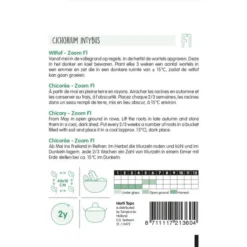 Witlof Zoom F1 - Cichorium Intybus 5 Witlof Zoom F1 - Cichorium Intybus -Aanbiedingen Intieme Eden Winkel witlof zoom f1 cichorium intybus 1646840315 84 600