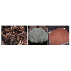 Wormenbak - 4 Laden Groen -Aanbiedingen Intieme Eden Winkel wormenbak 4 laden 1576574255 2 600