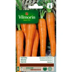 Wortel Verbeterde Nantes 3