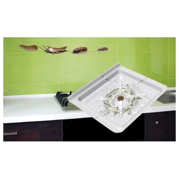 Zilvervisjes- En Papiervisjesvallen + Lokstof - Set Van 5 Stuks 4 Zilvervisjes- En Papiervisjesvallen + Lokstof - Set Van 5 Stuks - Afbeelding 2