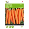 Zomerwortel Napoli F1 - Daucus Carota 1 Zomerwortel Napoli F1 - Daucus Carota -Aanbiedingen Intieme Eden Winkel zomerwortel napoli f1 daucus carota 1646840376 1410 600
