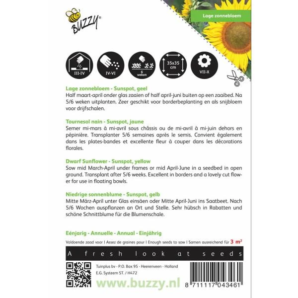 Zonnebloem Sunspot - Helianthus Annuus 4 Zonnebloem Sunspot - Helianthus Annuus - Afbeelding 2