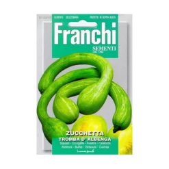 Zucchetta Tromba D Albenga - Trompet Kalebas