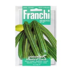 Zucchino Striato D Italia - Courgette