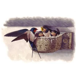 Boerenzwaluw Kunstnest - Houtbeton - Schwegler -Aanbiedingen Intieme Eden Winkel zwaluwnest boerenzwaluw houtbeton 1556786743 1 600