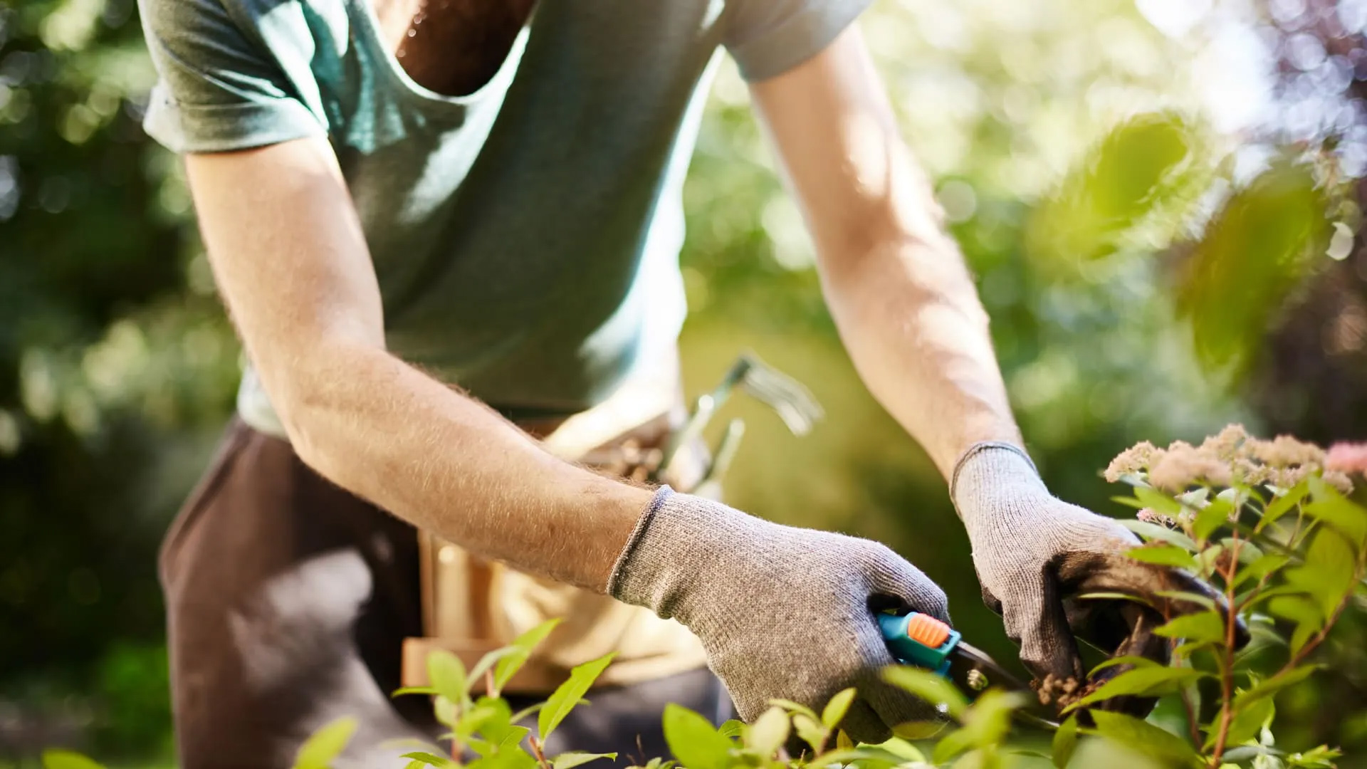 Aanbiedingen Intieme Eden Winkel -Aanbiedingen Intieme Eden Winkel 63d13a664014f1218ef547b7 gardener header 1